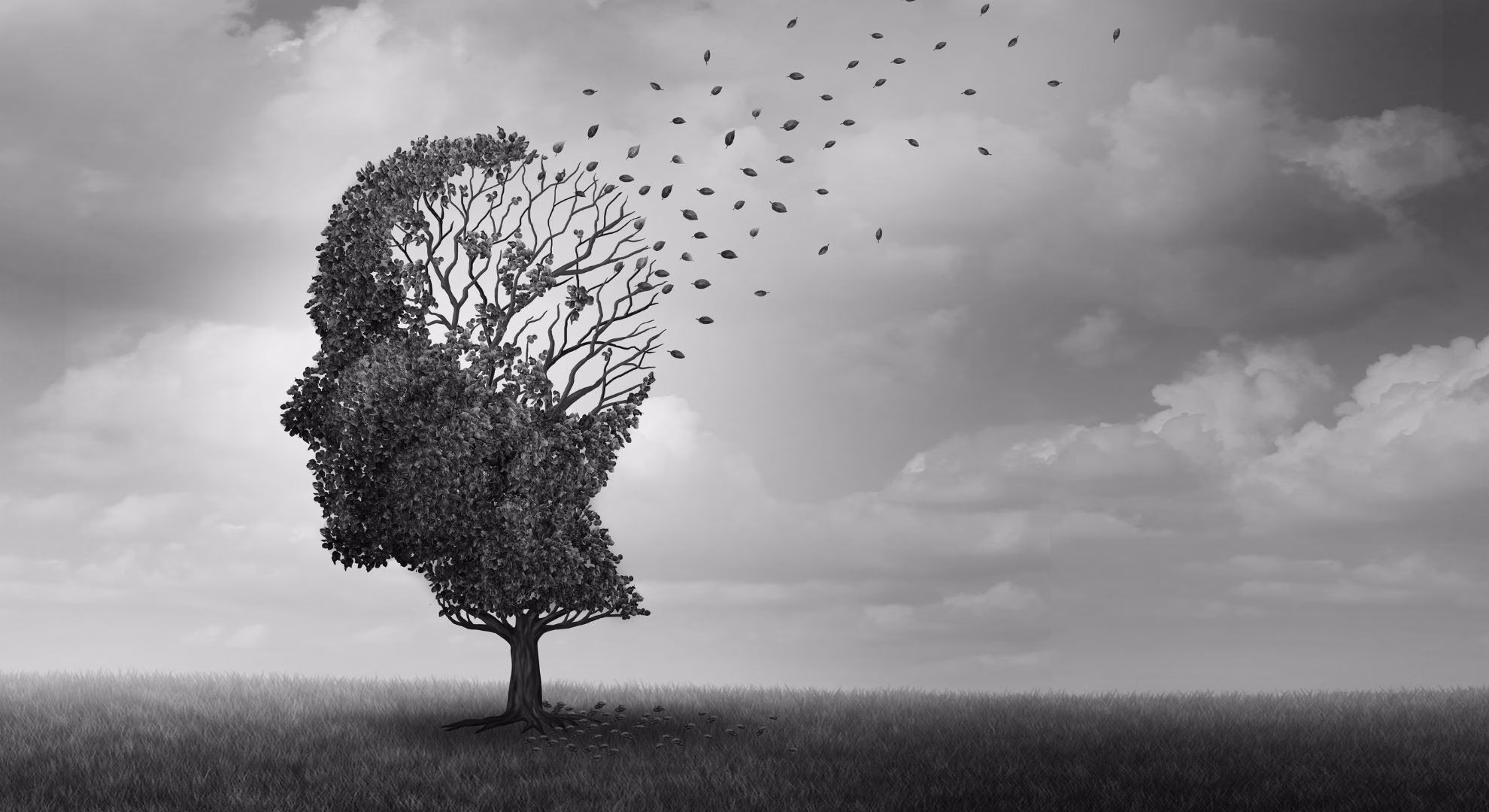 seniors and signs of dementia